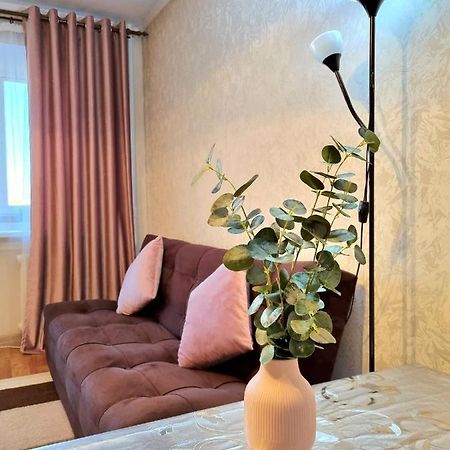 Apartment На Стрелке С Красивым Видом На Иртыш Ustʼ-Kamenogorsk Exteriör bild