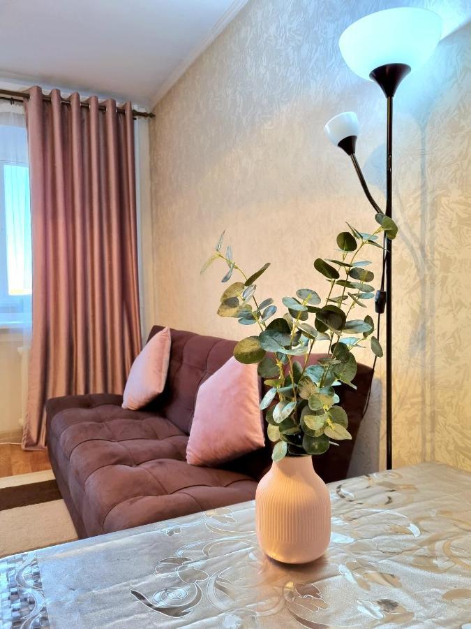 Apartment На Стрелке С Красивым Видом На Иртыш Ustʼ-Kamenogorsk Exteriör bild